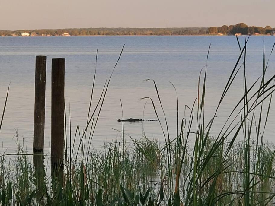 Camp St. Cabanas Unit 2 On Lake Dora Таварес Екстериор снимка